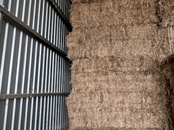 25mt Vetch Hay 8x4x3 Bales