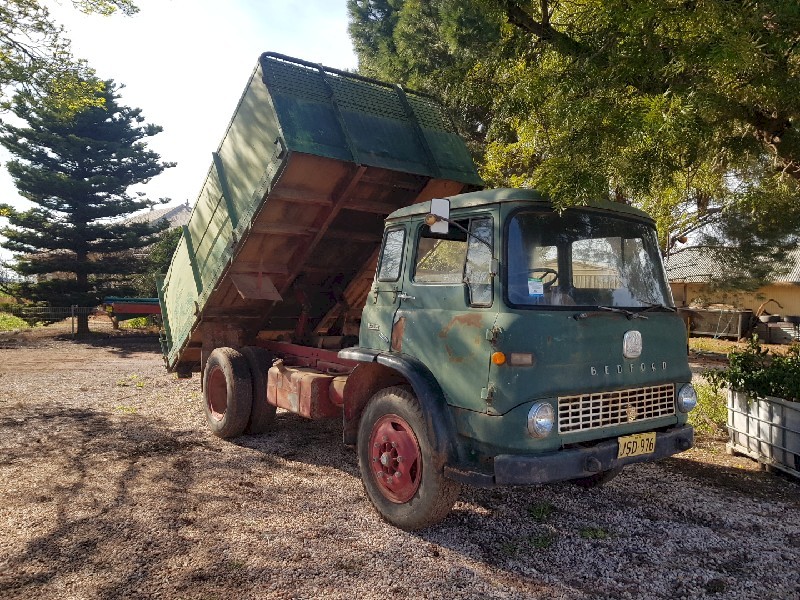 Bedford truck tipper tipping tray bulk bin grain feeder
