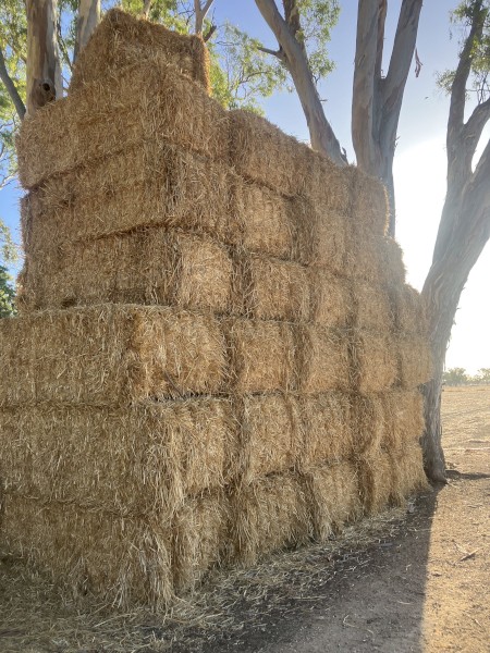 Oaten Hay Shedded