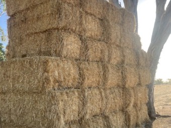 Oaten Hay Shedded