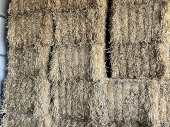 Oaten Hay Shedded
