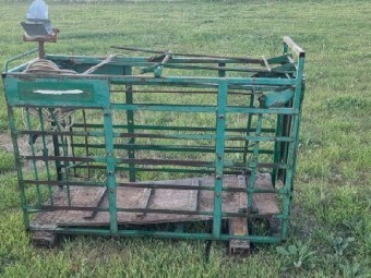 Sheep and lamb weighing cradle 