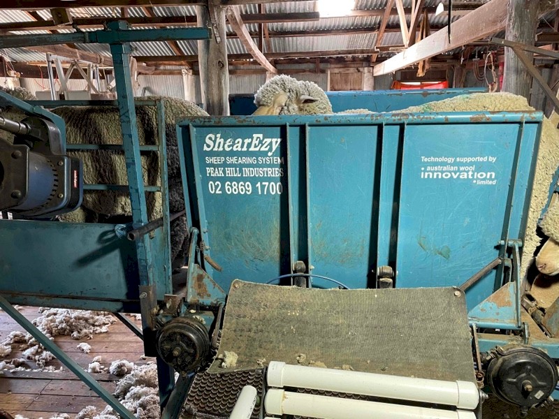 Shear Ezy.   Peak Hill  