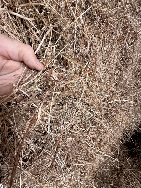 400 x Meadow Hay Small Square Bales