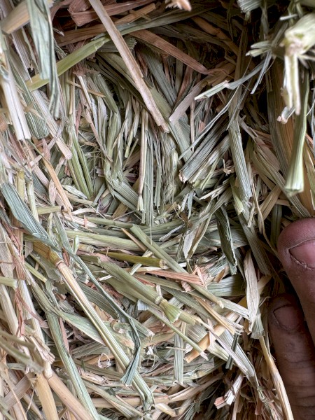 60mt Wheaten Hay 8x4x3 Bales