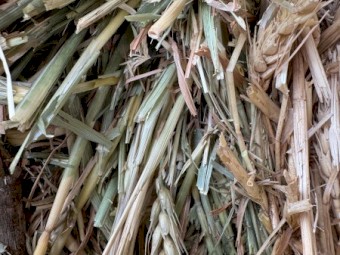 60mt Wheaten Hay 8x4x3 Bales