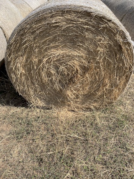 15mt Barley & Grass Hay Round Bales