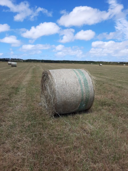 Hay Round Bales