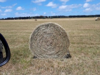 Hay Round Bales