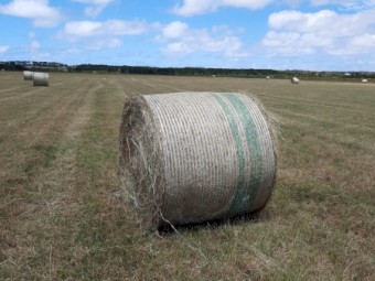 Hay Round Bales