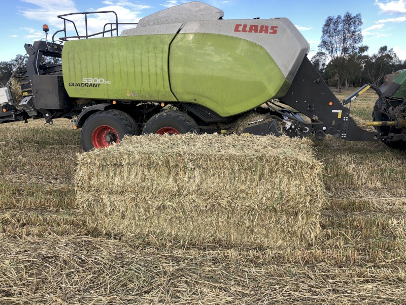 700mt Oaten Hay 550kg 8x4x3 Bales (Buyer must take all)
