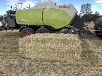 700mt Oaten Hay 550kg 8x4x3 Bales (Buyer must take all)