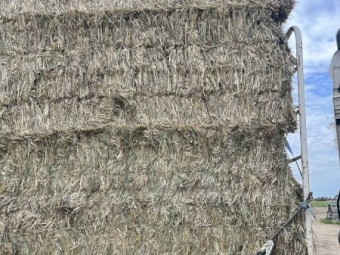 700mt Oaten Hay 550kg 8x4x3 Bales (Buyer must take all)