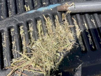 138 x Kraken Barley Hay 5x4 Round Bales