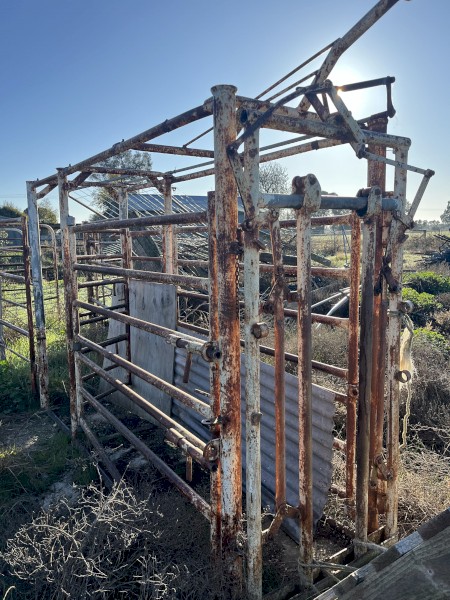 Cattle Crush and Yard Panels