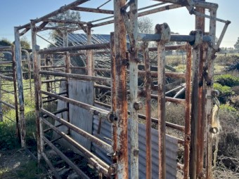 Cattle Crush and Yard Panels