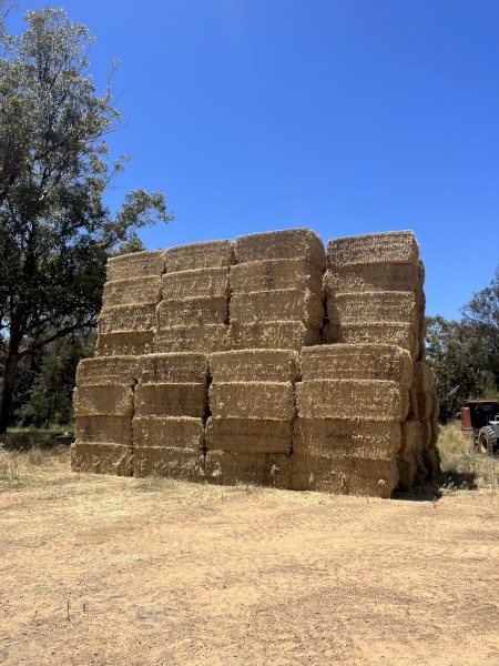 1000mt Wheaten Straw avg 560kg 8x4x3 Bales (New Season 22/23)
