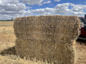 1000mt Wheaten Straw avg 560kg 8x4x3 Bales (New Season 22/23)