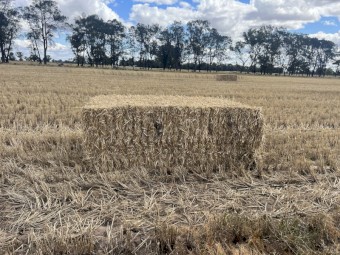 1000mt Wheaten Straw avg 560kg 8x4x3 Bales (New Season 22/23)