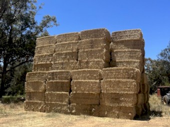 1000mt Wheaten Straw avg 560kg 8x4x3 Bales (New Season 22/23)
