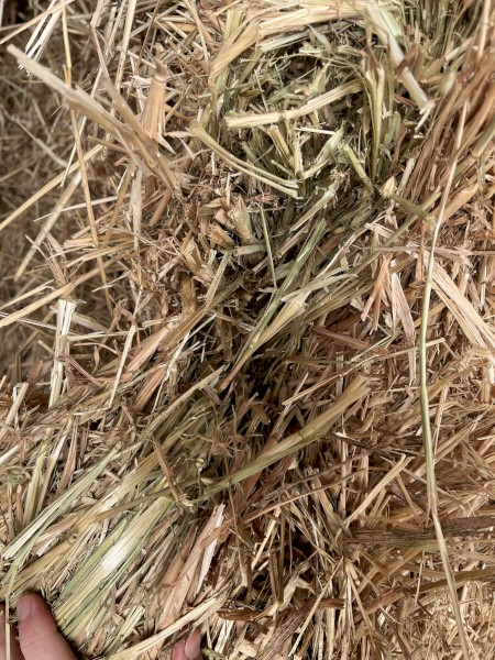 40mt Oaten Hay 8x4x3 Bales (New Season 22/23)