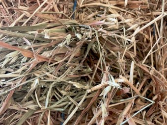 40mt Oaten Hay 8x4x3 Bales (New Season 22/23)