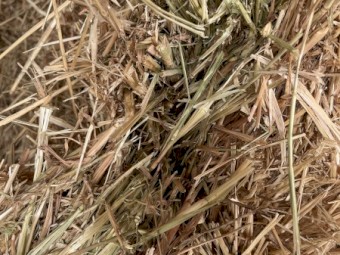 40mt Oaten Hay 8x4x3 Bales (New Season 22/23)