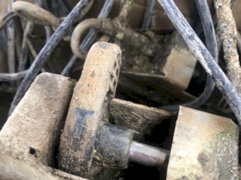 Waikato Cup Removers x 40