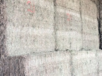 200mt Vetch Hay 600kg+ 8x4x3 Bales + Freight