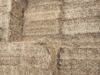 Shedded straw - current season