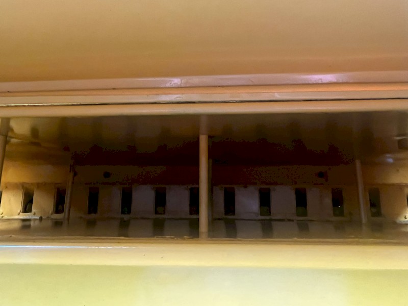 Connor Shea Direct Drill