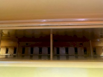 Connor Shea Direct Drill