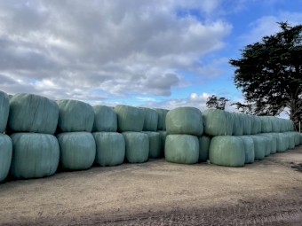 Pasture Silage