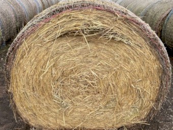 B2 - Wheat Hay Rolls