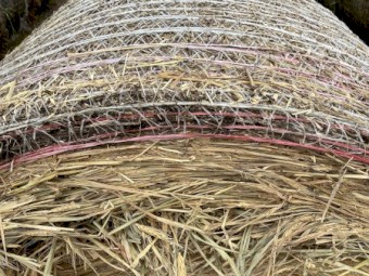 B2 - Wheat Hay Rolls