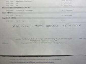 B3 - Oaten Hay - Rolls