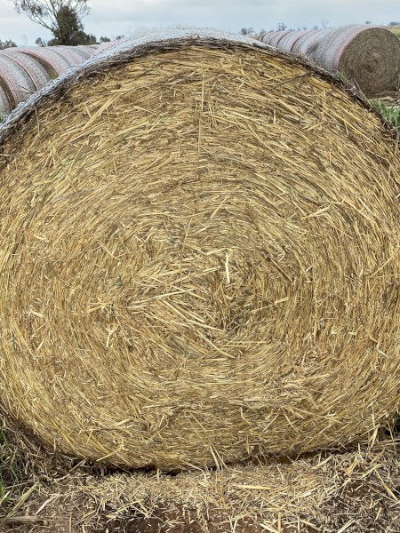 B2 - Oaten Hay Rolls