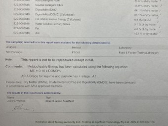 A1 Vetch Silage Rolls - NDF 46.9%