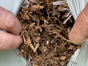 A1 Vetch Silage Rolls - NDF 46.9%