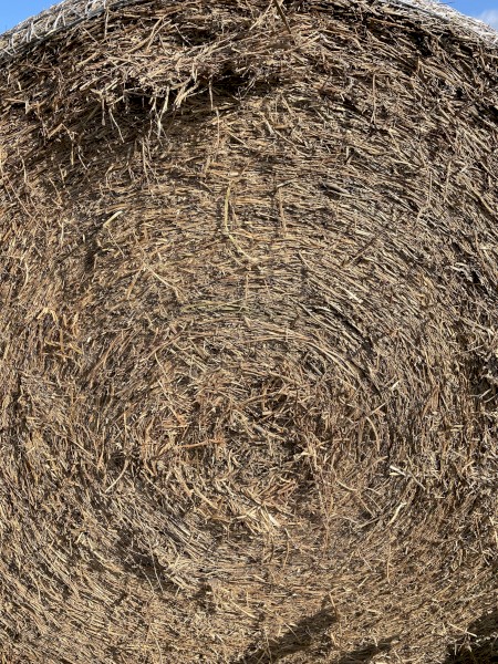 Vetch Hay Rolls - 200 rolls