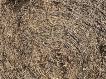 Vetch Hay Rolls - 200 rolls