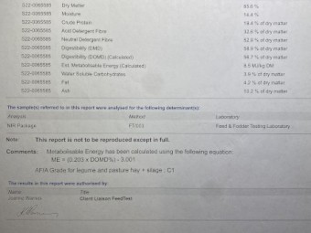 Vetch Hay - 160 Rolls