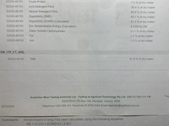 Barley Hay - 80 Big Squares 
