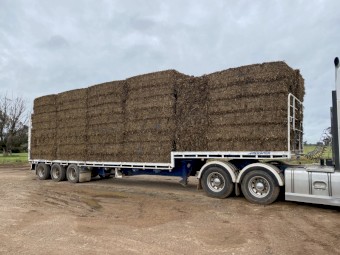 Pea Hay 600-640kg 8x4x3 Bales (22/23)