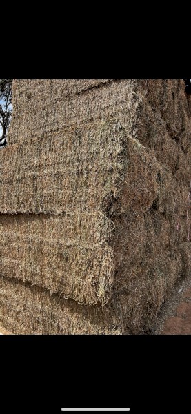 200mt Vetch Hay 640–650kg 8x4x3 Bales (New Season 23/24)