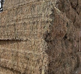 200mt Vetch Hay 640–650kg 8x4x3 Bales (New Season 23/24)