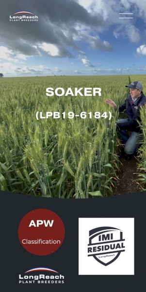 WANTED 20mt Soaker Wheat