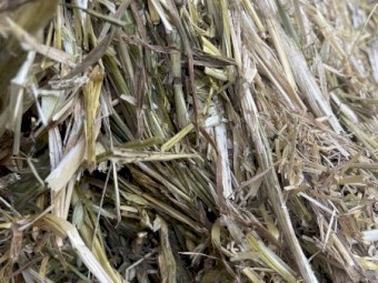 Oaten Hay 8x4x3 Bales