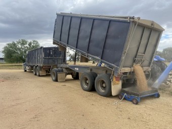 Freightliner FL112 Truck and Dog