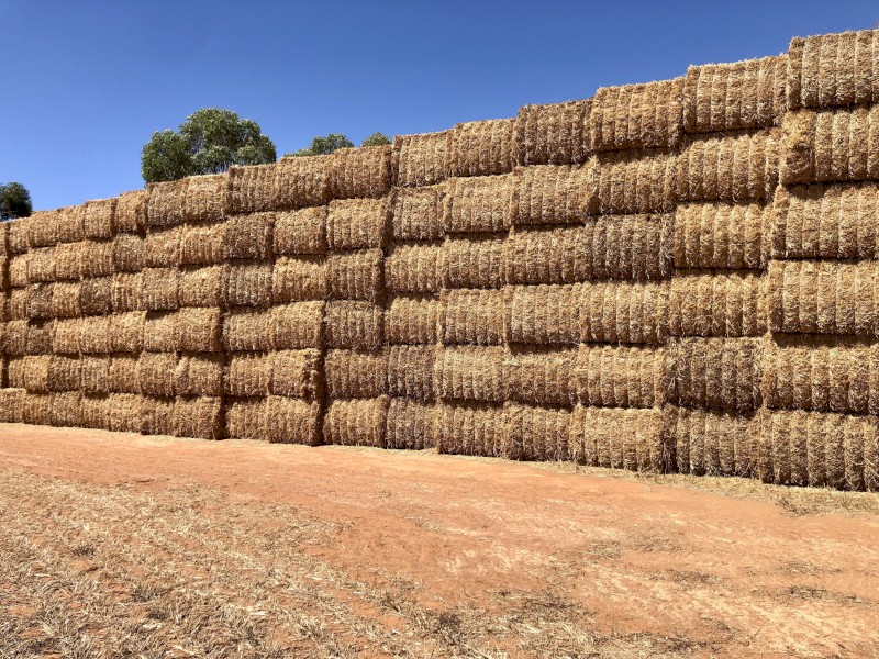 460mt Wheat Straw 8x4x3 Bales